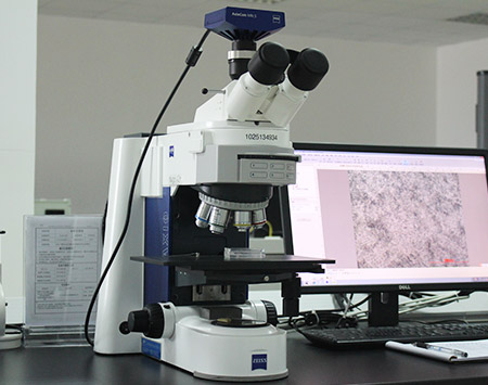 Metallurgical microscope